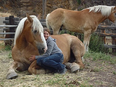 Martina und Pferde